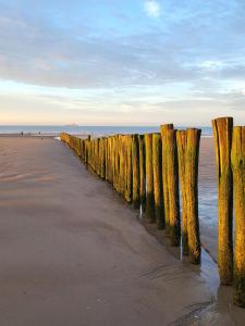 a row of wooden posts on the beach at L'escapade ansérienne in Oye-Plage