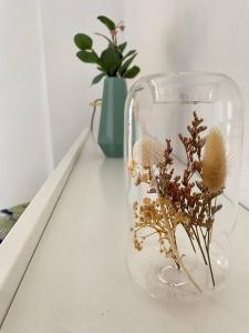 a glass vase filled with dried flowers on a table at Treparriscos Home l Cine en casa l WIFI l Vistas in Biescas