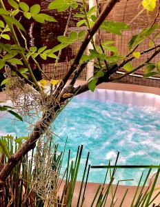 a pool of blue water in a building at La Porte Bleue le grenier des Anges in Saint-Pierre