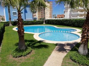 a swimming pool in a yard with palm trees at Delfines Solo Familias Serviplaya in Playa de Xeraco