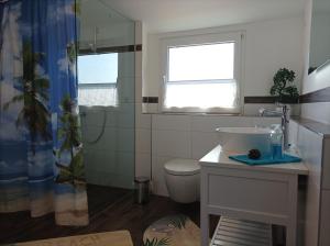 a bathroom with a sink and a toilet and a shower at Ferienhaus Rudolf in Achberg