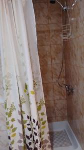 a shower curtain with flowers on it in a bathroom at Departamentito Austral in Puerto Montt