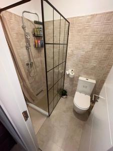 a bathroom with a shower and a toilet at Apartman 4N with free parking in Belgrade +16 photos