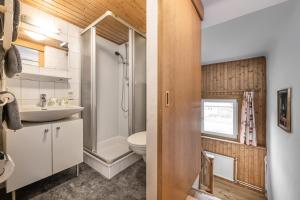 a bathroom with a white toilet and a sink at Alpenchalet Mitterlechner in Bad Hofgastein +15 photos