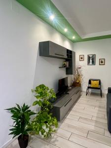 a living room with a tv and some plants at Yaya's House - Venice in Mestre