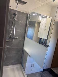 a bathroom with a shower and a mirror at Palms Zimmer in Frechen +10 photos