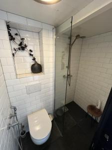 a bathroom with a toilet and a glass shower at De Kleine Prins Enkhuizen in Enkhuizen
