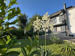 a house with a flowering plant in the yard at Villa Erwin with heated pool in Imotski