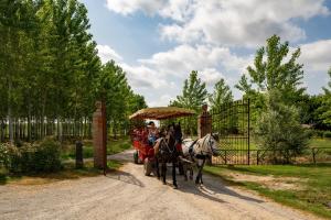 a horse drawn carriage with two people on it at Agriturismo Vialto in Forcoli +4 photos