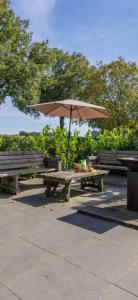 a picnic table with an umbrella and two benches at De Peelrand Hoeve in Venhorst