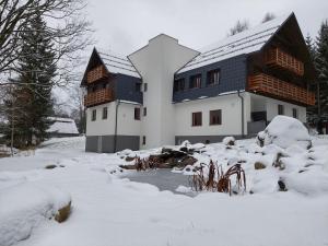 a house with snow on the ground in front of it at Apartmány Deštné 251 in Deštné v Orlických horách