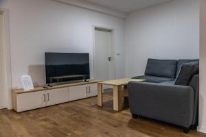 a living room with a couch and a flat screen tv at Apartmány Deštné 251 in Deštné v Orlických horách