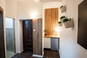 a kitchen with a door and a counter with plants at Pit Stop Baby in Ploieşti