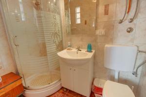 a bathroom with a shower and a sink and a toilet at Apartments Tasha in Štivan