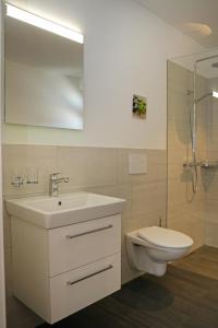 a bathroom with a sink and a toilet and a mirror at Penthouse mit Panoramaterrasse & Bergblick in Landquart in Landquart +26 photos