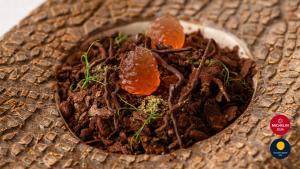 a bowl of dirt with plants in it at Gran Tacande Wellness & Relax Costa Adeje in Adeje