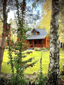 a log cabin in a yard with a tree at Otulina Gulczewo in Wyszków