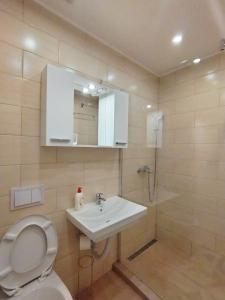 a bathroom with a toilet and a sink at Sarajevo Old Town 1 Free Parking & RoofTop View in Sarajevo +43 photos