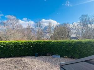 a green hedge in a yard with trees in the background at The Canal Cabin in Banavie