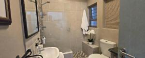 a bathroom with a shower and a toilet and a sink at Little Nest One Bedroom Apartment! in Knysna