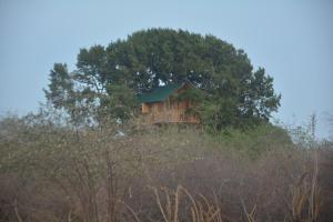 Gallery image of Yala Dream Park in Yala