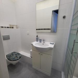 ein weißes Badezimmer mit Toilette und Waschbecken in der Unterkunft L'Armancine, chambres d'hôtes in Saint-Florentin