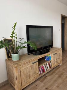 a television sitting on a wooden entertainment center at City Ela Center in Košice +2 photos