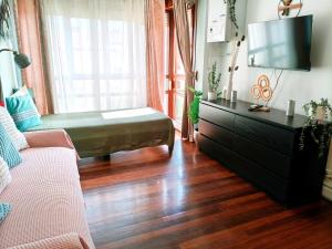 a living room with a couch and a tv at Flor de Lis in Medina de Pomar