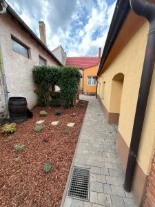 a garden in the courtyard of a building at Tessa Central House in Kőszeg