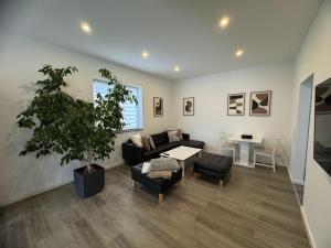 a living room with a couch and a potted tree at City Lounge Bielefeld 005 in Bielefeld