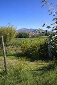 a field with a fence and a field of flowers at El Sueñero Tilcara in Tilcara +5 photos