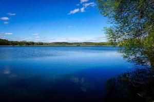 a large blue lake with trees and a blue sky at L'orée du lac - Formule Chambres in Marcenay