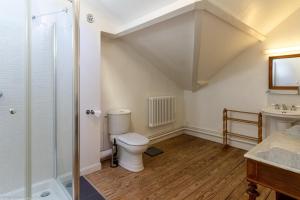 a bathroom with a toilet and a shower at L'orée du lac - Formule Chambres in Marcenay +23 photos