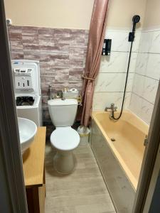 a bathroom with a toilet and a sink and a tub at Le petit cocon côtois in La Côte-Saint-André