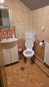 a bathroom with a white toilet and a sink at Casa El Gringo in Tîrnăveni