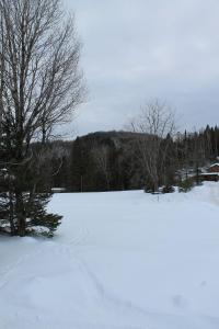 a snow covered field with trees in the background at La Casa TiMoris in Wentworth-Nord