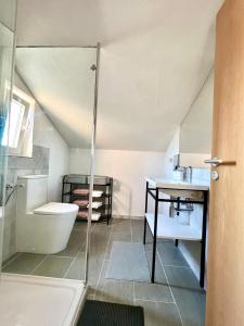 a bathroom with a shower and a toilet and a sink at Apartmani Cassiopeia in Murine