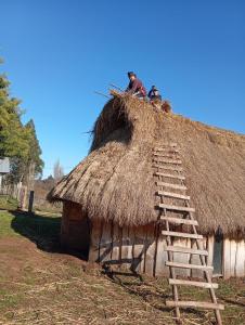 a man sitting on top of a straw hut at Ruka cabaña - Alojamiento Tradicional Mapuche in Temuco