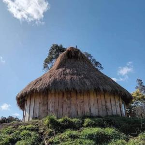 a hut with a straw roof on a hill at Ruka cabaña - Alojamiento Tradicional Mapuche in Temuco