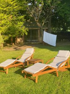 three lounge chairs and loungers on the grass at LE PRESBYTERE in Chasnay