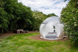 a large iguana house in a field of grass at Grand bubble in Kent