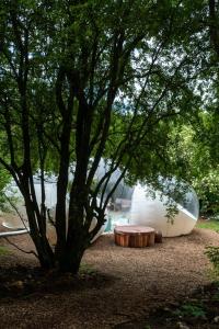 a tree with a table next to a boat at Grand bubble in Kent