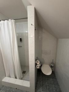 a bathroom with a toilet with a shower curtain at Bouda Malenovice in Malenovice