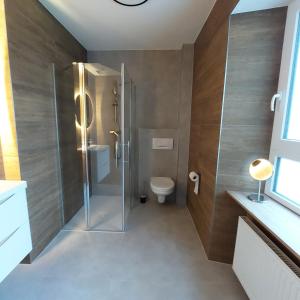 a bathroom with a shower and a toilet at Haus Moselliebe B&B in Ediger-Eller +19 photos