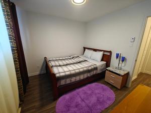 a bedroom with a bed and a purple rug at Appartement sur deux niveaux in Quebec City