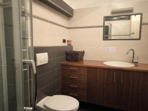 a bathroom with a toilet and a sink and a mirror at Klaus Luttach in Lutago