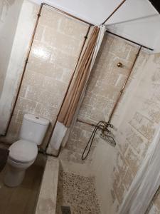 a bathroom with a toilet and a shower at Αγρόκτημα Agrikia Σπίτι in Arachova