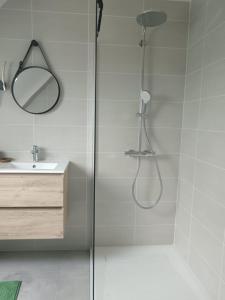 a shower with a glass door in a bathroom at Les mouettes in Huisnes-sur-Mer +9 photos