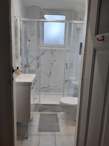 a bathroom with a shower and a toilet and a sink at Cosy 3 pièces Strasbourg in Schiltigheim +16 photos