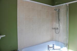 a bathroom with a bath tub with a shower at Waders in Salcombe